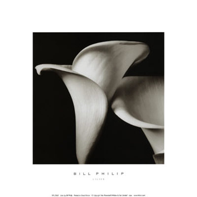 Buy Lilies at AllPosters.com
