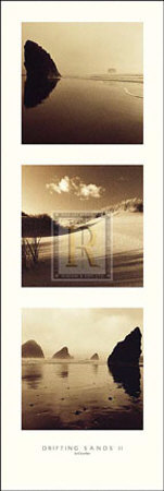 Buy Drifting Sands II at AllPosters.com