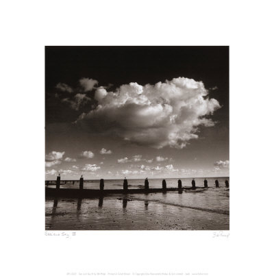Buy Sea and Sky III at AllPosters.com