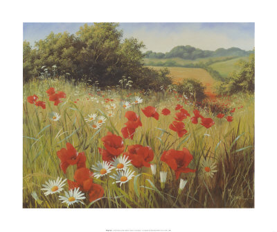 Sunlit Meadow