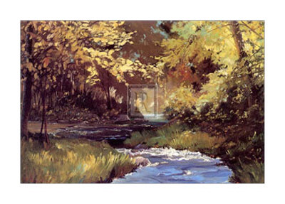 Winding Stream