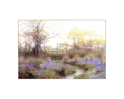Picking Bluebells