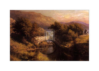 Fishing in Calm Waters