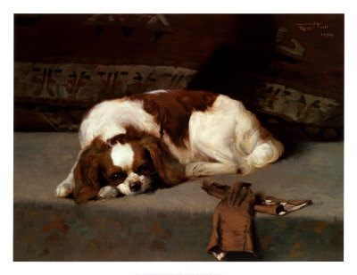 King Charles Spaniel Resting