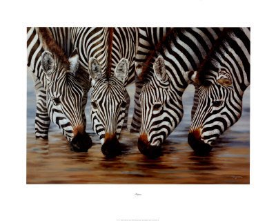 Stripes