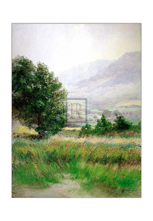 Morning Mist
