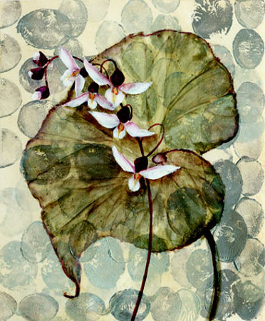 Buy Amazonia II at AllPosters.com