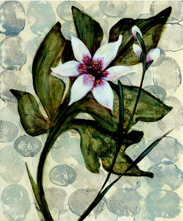 Buy Amazonia IV at AllPosters.com