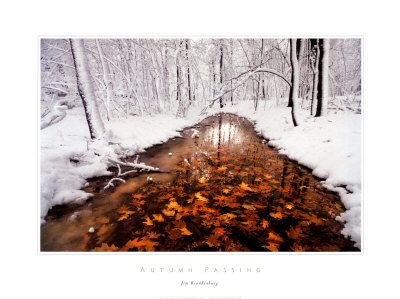 Buy Autumn Passage at AllPosters.com