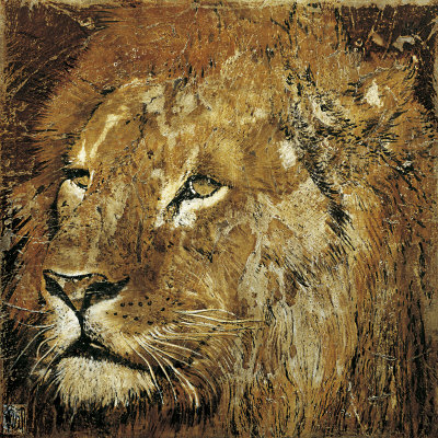 Lion Portrait