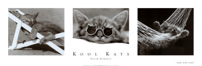 Buy Kool Kats at AllPosters.com
