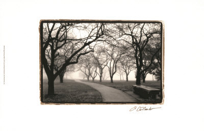 Buy Foggy Morning Walk at AllPosters.com