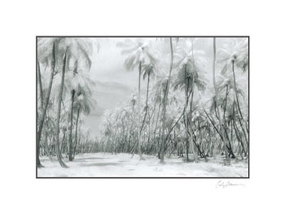 Buy Manzanilla Point Road at AllPosters.com