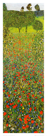 Campo Di Papaveri