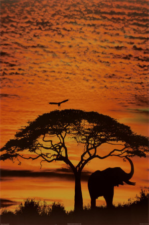 African Skies