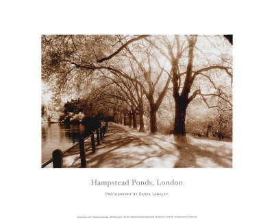 Hampstead Ponds, London