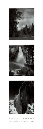 Buy Yosemite National Park at AllPosters.com