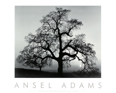 Ansel Adams Ansel Adams