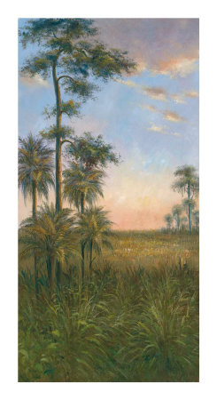 Buy Tropical Serenity II at AllPosters.com