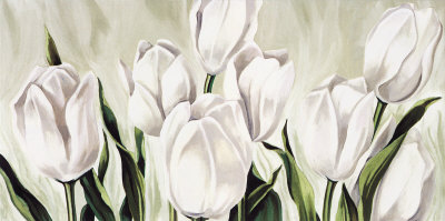 Tulipani Bianchi