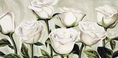 Rose Bianche