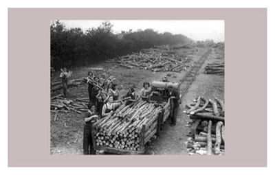Women at War: On the Land
