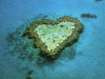 Australian Islet