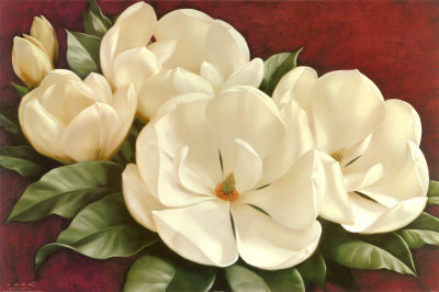 Magnolia Crimson I