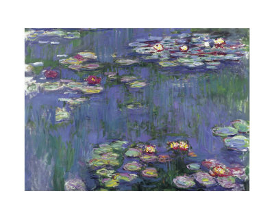 Water Lilies