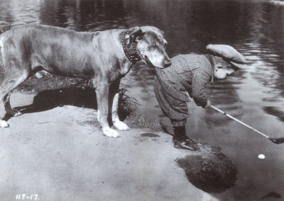Buy Retrieving The Ball at AllPosters.com