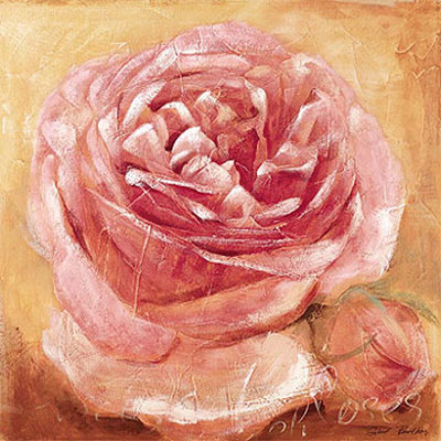 Rose Garden, a Glimpse