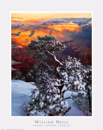 Buy Grand Canyon Sunrise at AllPosters.com