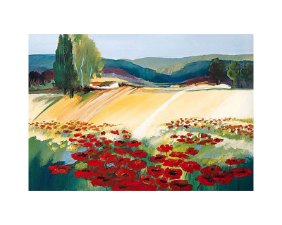 Felder im Sommer I
