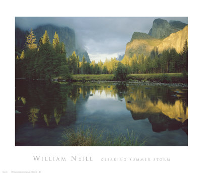 Buy Clearing Summer Storm at AllPosters.com