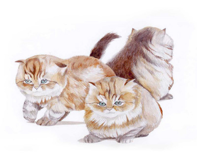 Puppies and Kittens II
