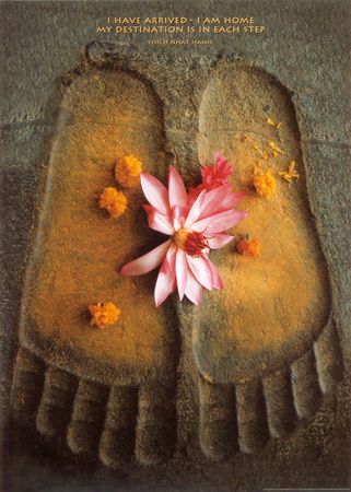 Thich Nath Hanh, I Have Arrived Posters