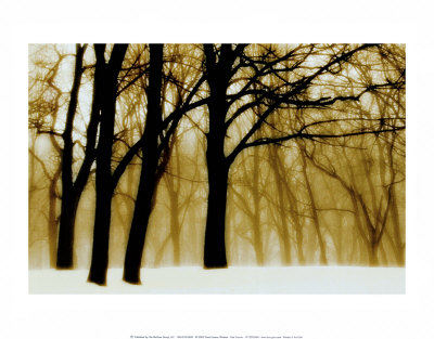 Buy Past Dreams at AllPosters.com