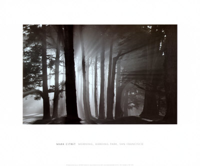 Buy Morning, Harding Park, San Francisco, 2002 at AllPosters.com