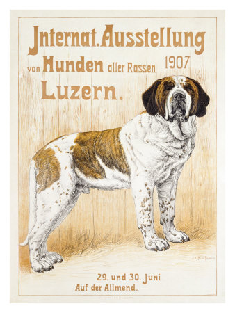 Austellung Von Hunden