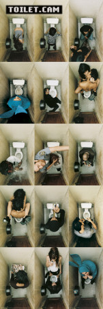 Buy Toilet.Cam 2 at AllPosters.com