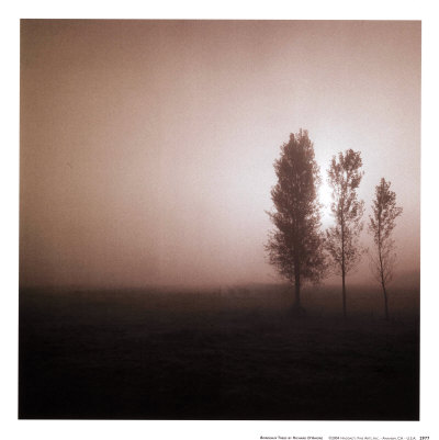 Buy Bordeaux Trees at AllPosters.com
