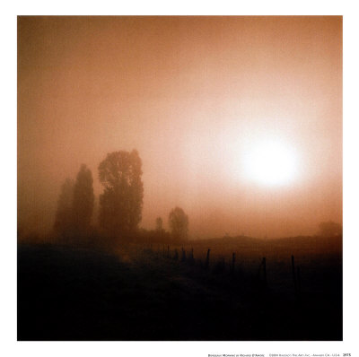 Buy Bordeaux Morning at AllPosters.com