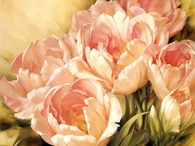 Angelique Tulips II