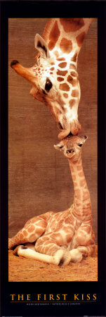 The First Kiss