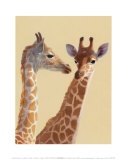 Giraffes