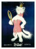 Cat and Cosmetic Mirror