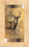 Buy White-Tailed Deer at AllPosters.com