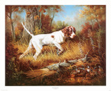 Pointer with Quail