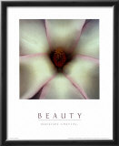 Buy Hair & Beauty at AllPosters.com