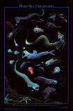 Buy Deep Sea Creatures at AllPosters.com